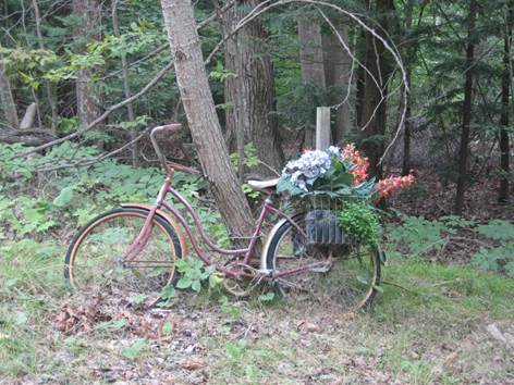 Description: D:\Photos\2010\2010-08-18\IMG_1766.JPG